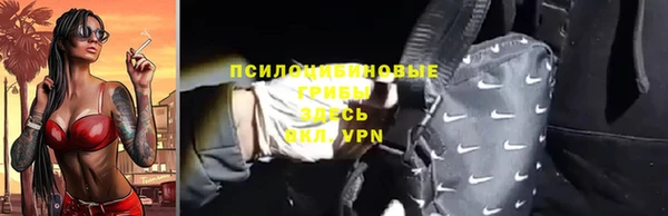 PSILOCYBIN Армянск