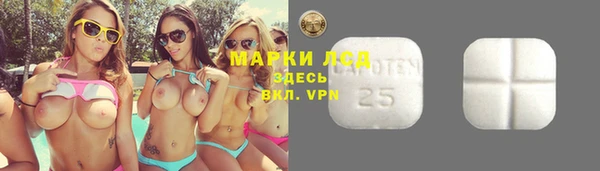 спайс Аркадак