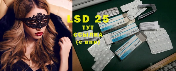 PSILOCYBIN Армянск