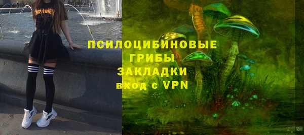 PSILOCYBIN Армянск